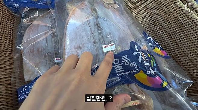 울릉도 한 상점에서 판매되는 17만원짜리 마른오징어. 사진 유튜브 채널 ‘물만난고기’ 캡처