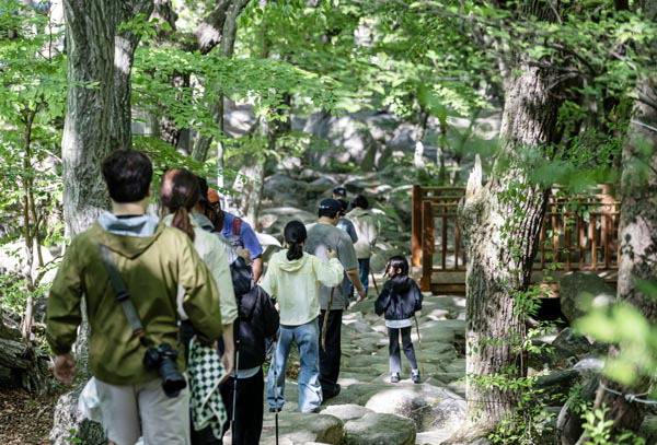 부산의 진산 금정산이 국립공원으로 지정되면서 거미줄처럼 얽힌 탐방로가 안전하고 체계적으로 관리될 전망이다. 사진은 5일 금정산국립공원을 찾은 등산객들이 산행을 마치고 하산하는 모습.  이원준 기자 windstorm@kookje.co.kr