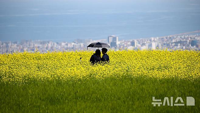 [제주=뉴시스] 우장호 기자 = 맑은 날씨를 보인 6일 오전 제주시 오라동 중산간 청보리밭을 찾은 관광객들이 밭 한켠에 조성된 유채꽃 사이에서 인생샷을 남기며 초여름 정취를 만끽하고 있다. 2026.05.06. woo1223@newsis.com