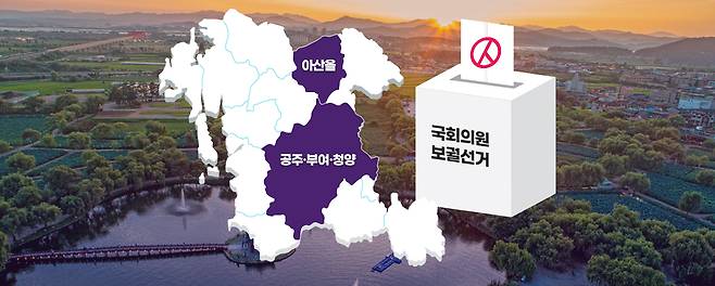 충남 보궐선거. 그래픽=김연아 기자.
