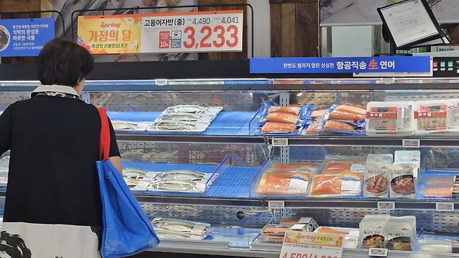 ‘수산물 특별 할인전’이 진행 중인 7일 포항시 남구 대형마트 수산물 코너에서 한 시민이 고등어를 살펴보고 있다. /정혜진기자