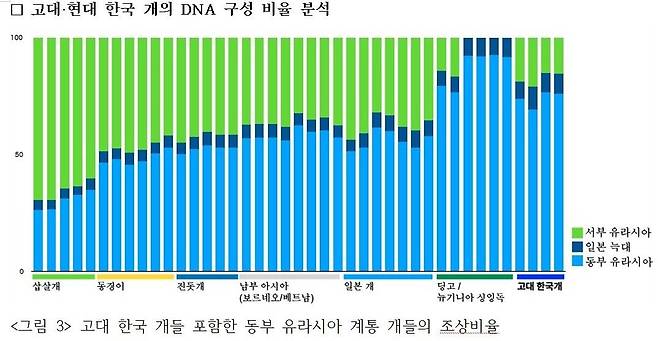 자료 국립가야문화유산연구소