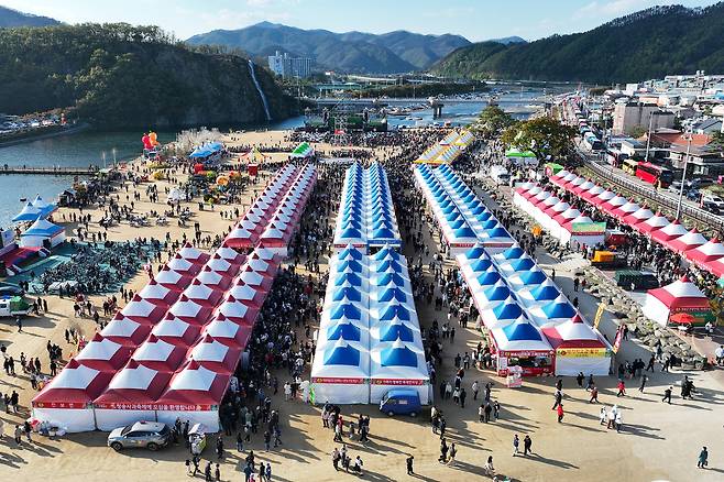 지난해 청송사과축제장 전경. /청송군 제공