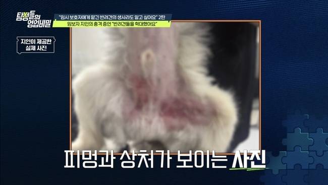 사진=채널A ‘탐정들의 영업비밀’