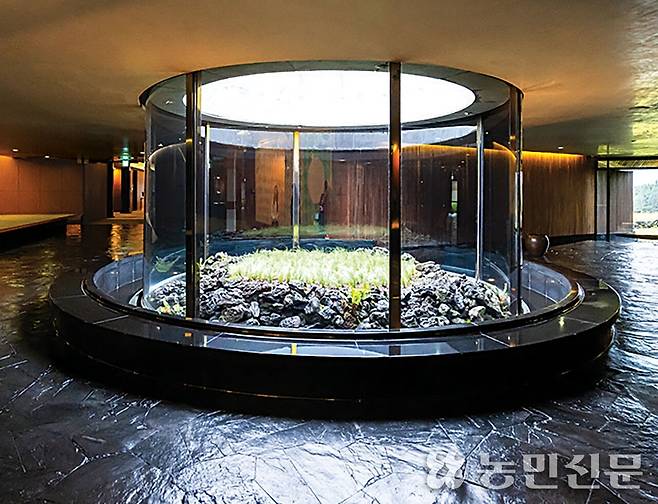 제주의 자연을 실내로 옮긴 포도호텔의 ‘캐스케이드’. 유리관 위쪽이 뚫려 있다. 제주=현진 프리랜서 기자