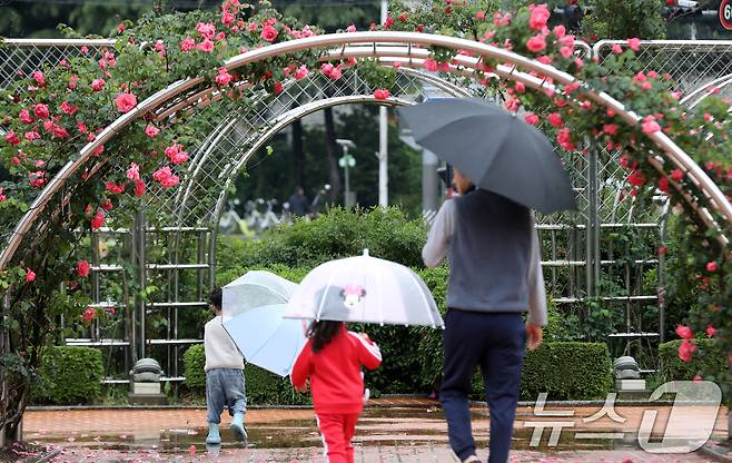 봄비가 내린 지난 3일 오후 경남 창원 성산구 장미공원에서 우산을 쓴 시민과 어린이들이 장미를 구경하고 있다. 2026.5.3 ⓒ 뉴스1 윤일지 기자