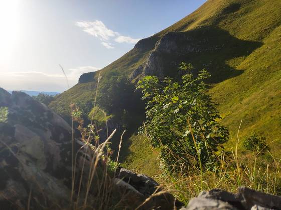 Biogradska Gora National Reserve in Montenegro [JOEL DOWN]