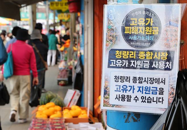 고유가 피해지원금 2차 지급 기준 발표를 하루 앞둔 10일 오후 서울 동대문구 청량리 종합시장을 찾은 시민들이 장을 보고 있다. 정부는 11일 건보료와 자산 기준 등을 적용한 국민 약 70% 선별 지원안과 고액 자산가 제외 기준 등을 발표할 예정이다. /사진=뉴스1