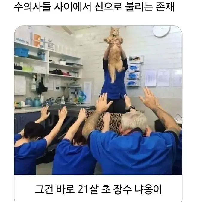 수의사들 사이에서 신으로 불리는 존재.jpg