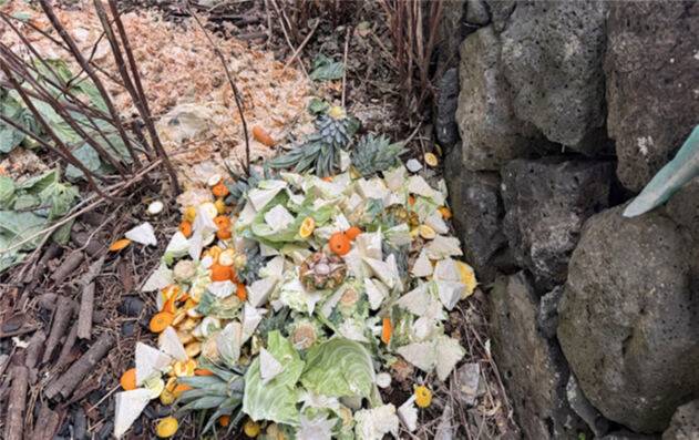 지역특산주 제조에 수입산 과실을 투입하고 껍질을 건물 외부에 버린 현장. 제주도자치경찰단 제공