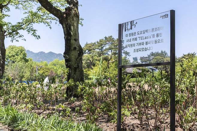 도쿄일렉트론코리아