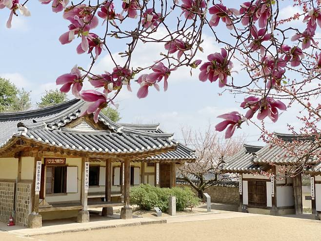 추사고택의 고즈넉한 풍경 속에서 추사 김정희의 삶과 예술 정신을 엿볼 수 있다. 사진=예산군