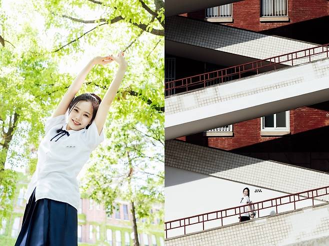 사진=알비더블유(RBW), WM엔터테인먼트
