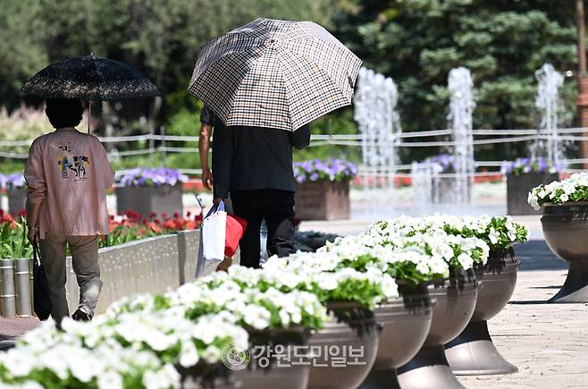 ▲ 초여름날씨를 보인 춘천 강원도립화목원. 김정호 기자 [강원도민일보 자료사진]
