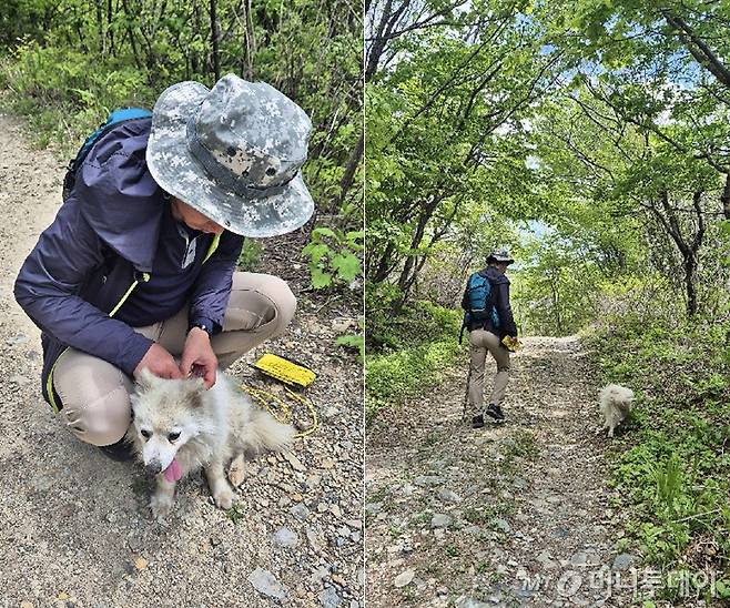 울산 울주군 천황산(해발 1198m) 정상에서 유기된 것으로 추정되는 강아지가 한 부부에게 구조됐다./사진=영남알프스완등인증 앱