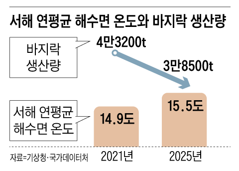 그래픽=양인성