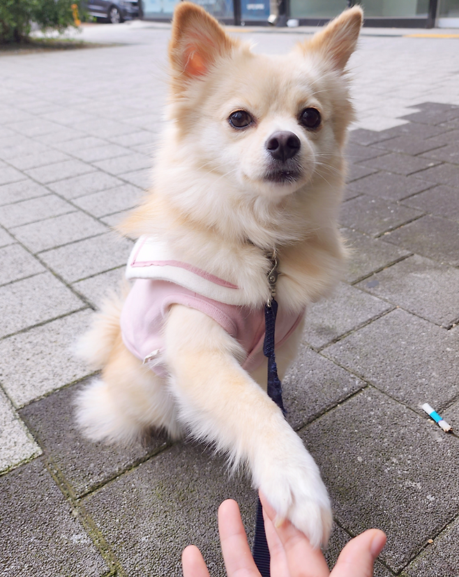 언니 꾸미 손 잡아! 보호자 제공