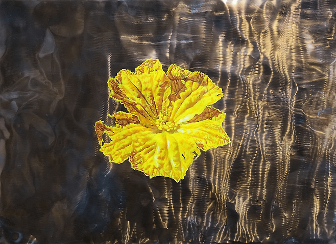 R101-2024, 54.5×74cm, acrylic paint on stainless steel.