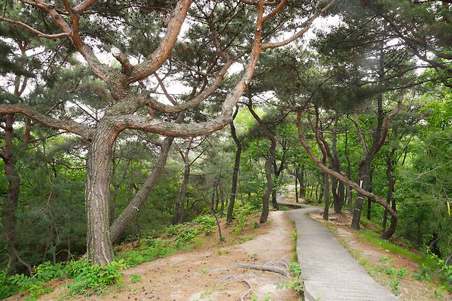 [서울=뉴시스] 서울 의릉 (사진=문화재청 제공) 2023.05.10. photo@newsis.com *재판매 및 DB 금지