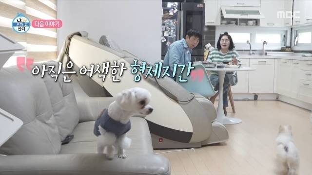 MBC ‘나 혼자 산다’ 캡처
