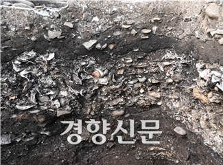 동삼동 패총 조개껍질 퇴적 상태. 부산시 제공
