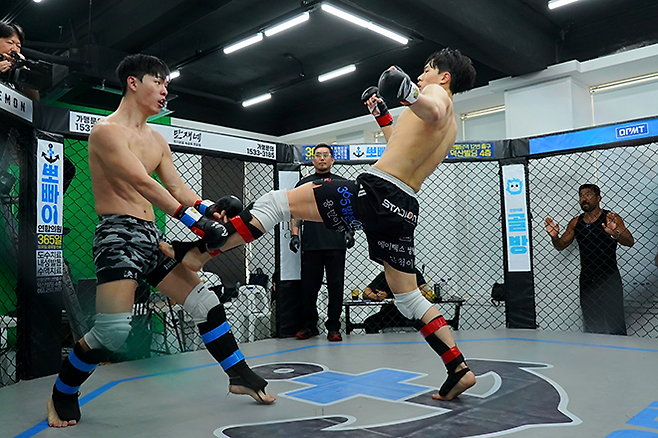 김대환 UFC 해설위원의 큰아들 김호진이 2026년 5월 아마추어 종합격투기 단체 KMMA 미들급 타이틀 도전자 결정전에서 정의성을 공격하고 있다. 오른쪽은 종합격투기 프로 선수로 유명한 양정팀매드 배명호 관장. 사진=스탠다드앤드프로그레스 스포츠에이전시 제공
