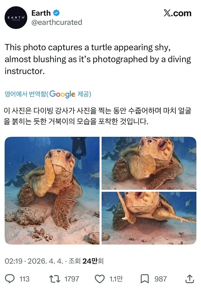 1000185677.webp
