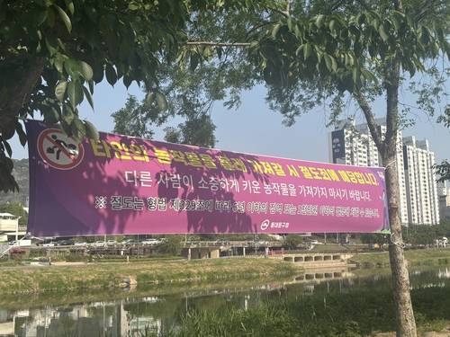 절도 금지 포스터  [촬영 조현영]
