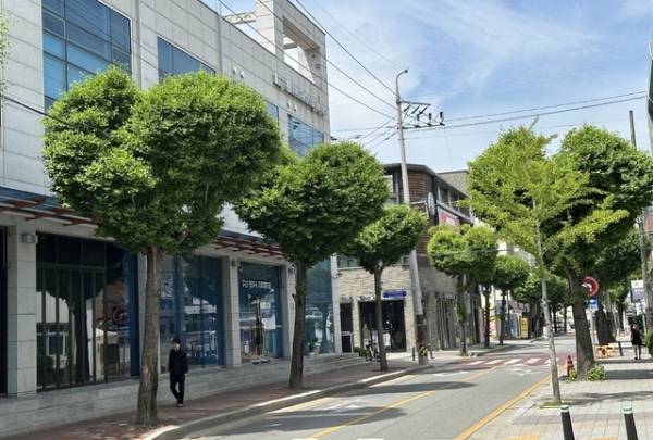 충북 청주시 상당구 북문로 일원 하트길 /조은영기자