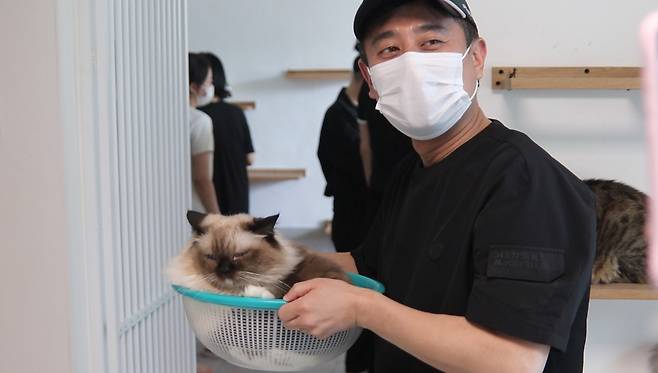 이민수 SD동물의료센터 원장이 병원에서 진료헀던 고양이를 살펴보고 있다(병원 제공). ⓒ 뉴스1