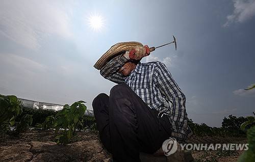 폭염 속 온열질환 조심 [연합뉴스 자료사진]