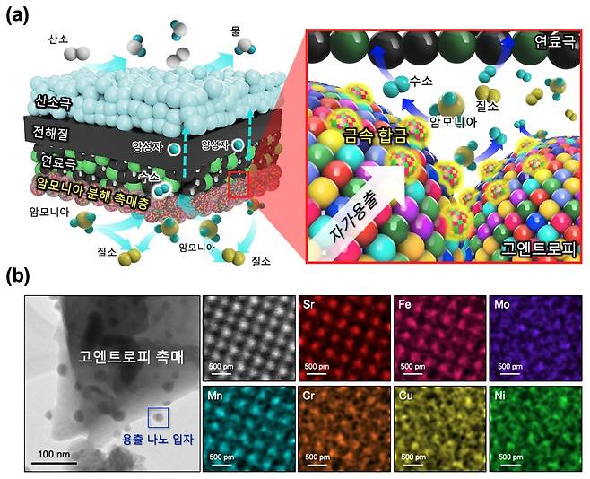 (a)고엔트로피 촉매가 적용된 암모니아 연료 기반 PCFC 모식도 (b)고엔트로피 촉매 미세구조 및 원소 분포