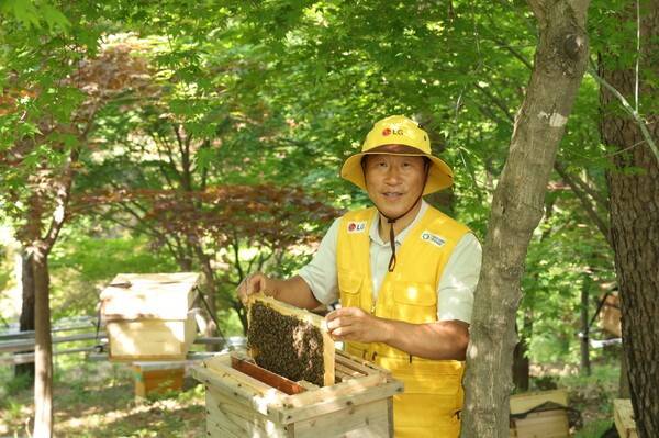 LG가 조성한 토종 꿀벌 서식지에서 김대립 명인이 토종 꿀벌의 생육 상태를 점검하고 있다. [출처=LG]