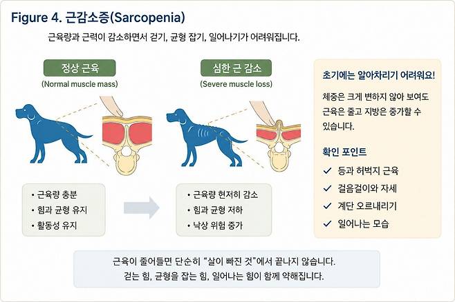 그래픽=연희동물의료센터 제공