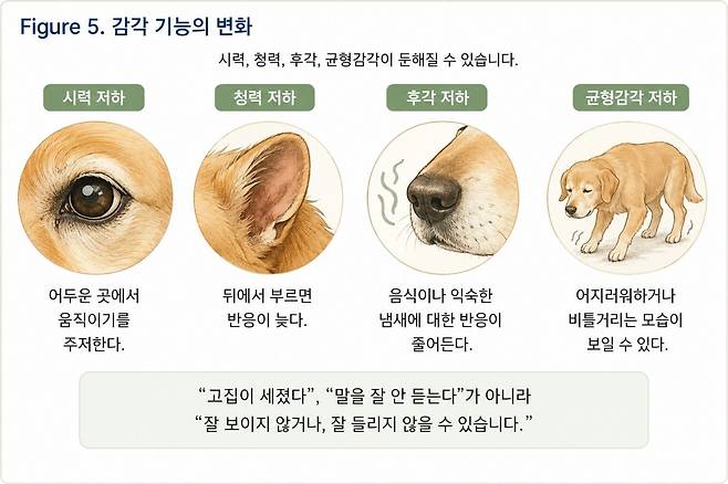 그래픽=연희동물의료센터 제공