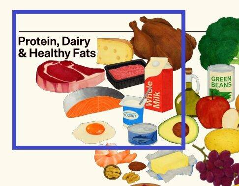 2026년 1월 발표된 미국인을 위한 식단 지침(DGA, Dietary Guidelines for Americans) 자료의 일부. 사진=송무호 제공
