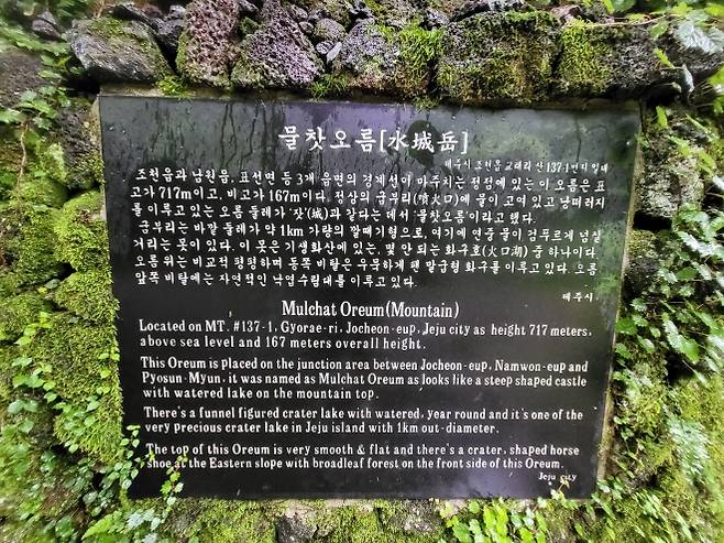 조천읍 교래리 사려니숲길 내 물찻오름은 2008년부터 자연휴식년제가 적용돼 일반인 출입이 제한돼 왔다. 제주 강동삼 기자