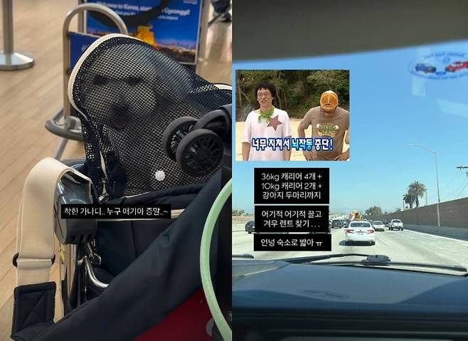 사진 = 최준희 인스타그램 스토리
