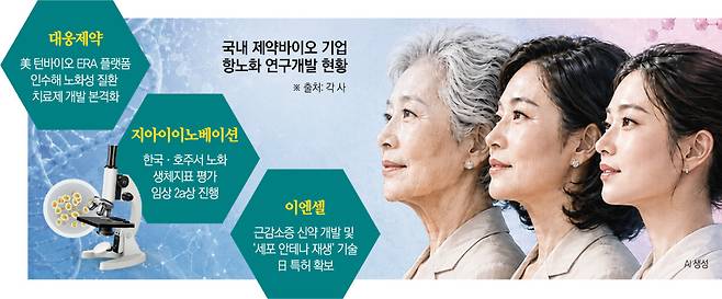 (그래픽=신미영 기자 win8226@)
