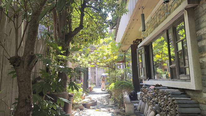 Inside Culture Alley [WOO JI-WON]