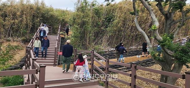 ▲ 동해안 홍해 송지호 대섬 바다하늘길이 23일 시범 운영 첫날을 맞아 인산인해를 이루며 글로벌 해양관광명소로의 도약을 예고했다. 산책길로 오르는 관람객들. 김주현 기자