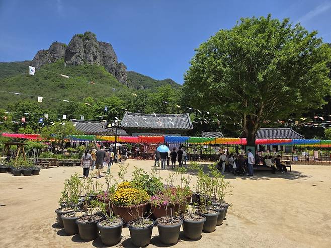 주왕산국립공원 내 대전사 전경. /김종철기자