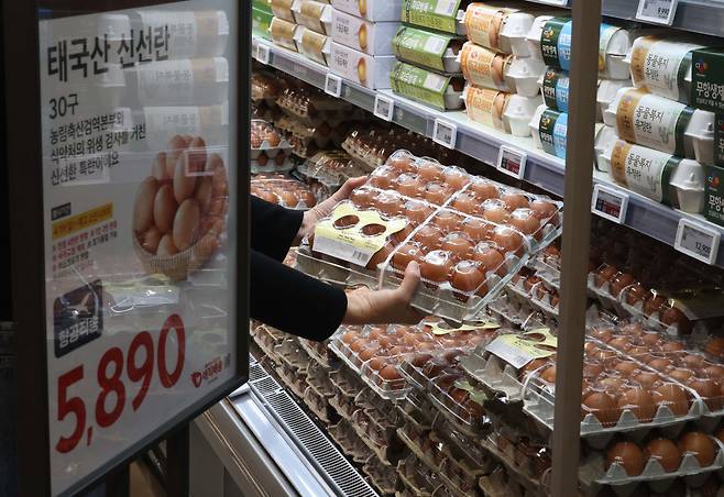 고병원성 조류인플루엔자(AI) 여파 등으로 계란값이 상승세를 이어가자 정부가 수급 안정을 위해 수입한 태국산 신선란이 4월 19일 서울 강서구 홈플러스 강서점에서 판매되고 있다. 농림축산식품부는 태국산 신선란을 이달 말까지 순차적으로 시중에 공급할 예정으로 가격은 한 판(30구)에 국내 계란 평균 소매가보다 약 15% 저렴한 5890원이다.(신태현 기자 holjjak@)
