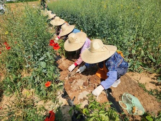 위 사진은 기사와 무관함. 연합뉴스