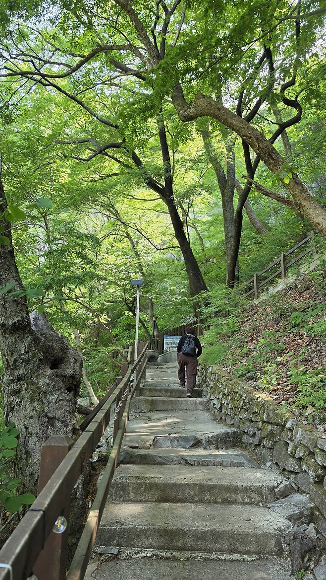 사리암 올라가는 길.