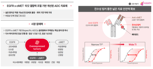 이중항체 ADC 임상 진행 현황. 사진=GC녹십자.