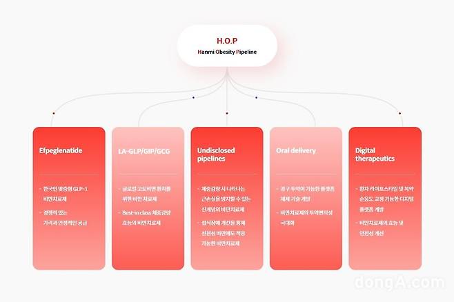한미약품 비만 신약 개발 H.O.P 프로젝트 개요. 한미약품 제공