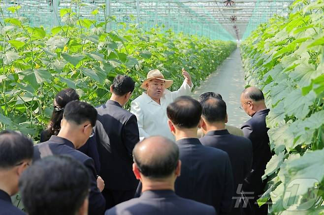 (평양 노동신문=뉴스1) = 북한 노동당 기관지 노동신문은 1일 김정은 동지께서 5월 31일 신의주온실종합농장을 현지지도 했다"고 보도했다. [국내에서만 사용가능. 재배포 금지. DB 금지. For Use Only in the Republic of Korea. Redistribution Prohibited] rodongphoto@news1.kr