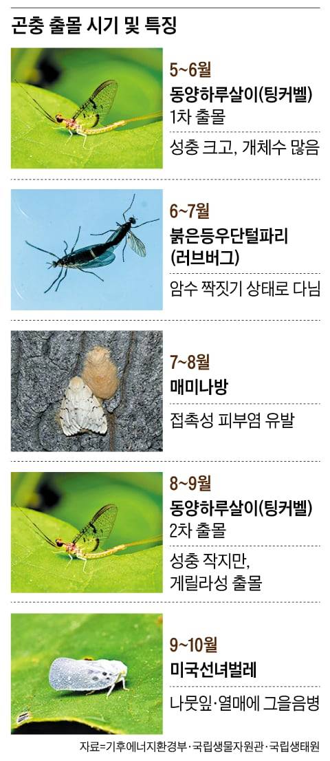 그래픽=이진영