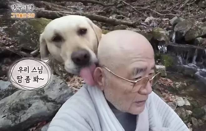 삼보스님의 가르침은 2020년 EBS '한국기행-그 겨울의 산사'를 통해 널리 알려진 바 있다. 당시 스님은 방송에서 반려견 보리와 일상을 공개했는데, 보리가 인터뷰 중인 스님의 머리를 핥는 영상이 온라인상에서 화제를 모으기도 했다.  /사진==EBS '한국기행-그 겨울의 산사'